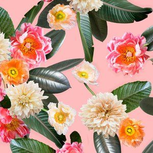 ISO Louis Vuitton/Gucci Bags